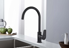 Смеситель для кухни Aquatek Бетта AQ1182MB черный матовый