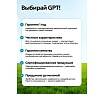 Триммер бензиновый GPT NBC-550 D