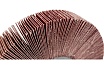 Круг лепестковый KK19XW (125х20 мм; М14; 12Н; Р100) БАЗ 960000086910