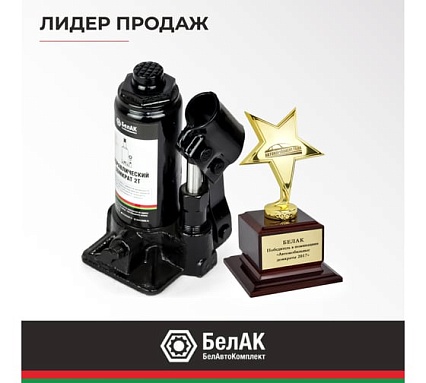 Домкрат в кейсе БелАК БАК.10039 (2 тонны)