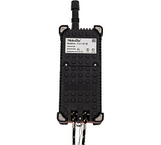 Пульт для промышленного радиоуправления TELEcontrol F21-E1B CH131 921-006-101_131