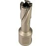 Сверло корончатое твердосплавное Weldon 19 (15х35х75 мм) Tideway AC121504