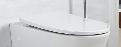 Крышка-сиденье BelBagno BB2031SC с микролифтом