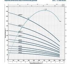 Насос Pedrollo 6SR 44/16 P 22 кВт 496B4416A