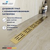 Трап для душа RGW Drain Leo-30Gb 40 см брашированное золото 60213040-06