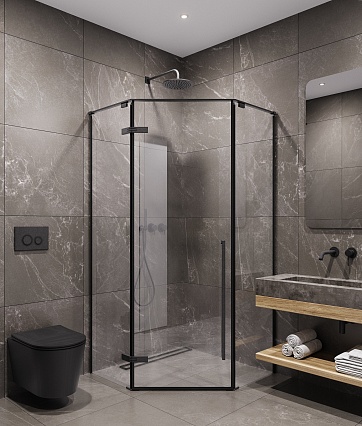 Душевой уголок Timo TTSSP-100/03C-8 100x100 прозрачный, черный