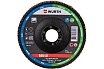 Диск лепестковый NC-22,23-G40-D125 (125х22.2 мм, зернистость 40) Wurth 0579580324961