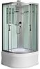 Душевая кабина WeltWasser Halle 1001 100x100 хром, прозрачное