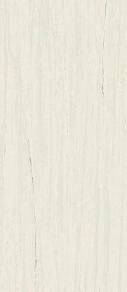 Плитка Atlas Concorde Marvel Stone Bianco Dolomite 50x120 см, A4S4