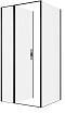 Душевой уголок Allen Brau Priority 100x90 3.31030.BBA + 3.31045.BBA, прозрачный, черный браш