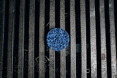Диск быстросменный на винтовом креплении CD QD-R, D=50 мм, Blue Abraforce AFQDCDR5000BLU