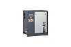 Винтовой компрессор Fini PLUS 11-08 IE3 100513067