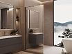 Душевая перегородка Vincea Волк-Ин (Walk-In) VLSW-1H100MRGM 100x200 вороненая сталь, зеркальное