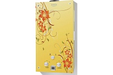 Газовый проточный водонагреватель Oasis 24 BG/TUR 4670004379011