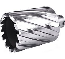 Фреза кольцевая №49 (55х55/88 мм; WELDON19; HSS M2) Профоснастка 40101049