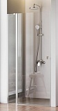 Душевая дверь Am.Pm Sunny W87G-100-1P-MT 100x190 прозрачное, хром матовый