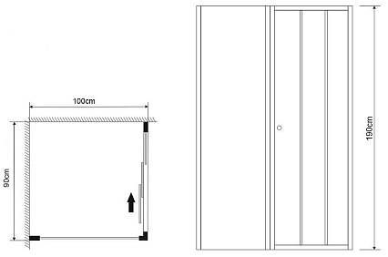 Душевой уголок Grossman Falcon GR-D90-P100Fa 90x100 прозрачный, хром