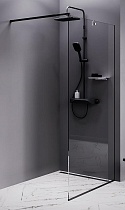 Душевая перегородка Am.Pm Func W84WI-100-F1-BTE 100x200 черный матовый, прозрачное