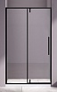 Душевая дверь Vincea Slim-N VDP-4SN100CLB 100x195 черный, прозрачная
