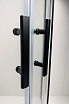 Душевой уголок Timo TPSS-100/03C-8 100x100 прозрачный, черный T47