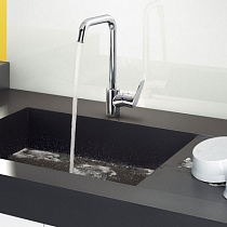 Смеситель для кухни Hansgrohe Focus 31820000