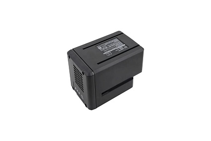 Аккумулятор CS-WRX168PW 2.0Ah, 40V Cameron Sino P102.00071