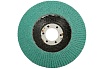Круг лепестковый Best for Inox для УШМ (115х22,2 мм; К80) Bosch 2608608265