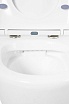 Подвесной унитаз BelBagno Tre BB8001CHR/SC безободковый, с микролифтом