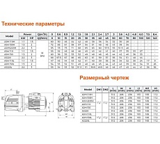 Самовсасывающий струйный насос LEO AJm 220 H 1812