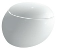 Подвесной унитаз Laufen Alessi 8.2097.6.400.000.1 безободковый, с покр. LLC
