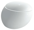 Подвесной унитаз Laufen Alessi 8.2097.6.400.000.1 безободковый, с покр. LLC