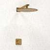 Душевой набор WasserKRAFT Schunter A8251.180.259 матовое золото