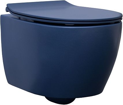 Подвесной унитаз Allen Brau Fantasy 4.11004 безободковый