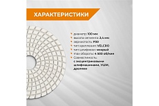 Алмазный гибкий шлифовальный круг Черепашка АГШК 100 мм, Р30, мокрое шлифование RAGE by VIRA 558045