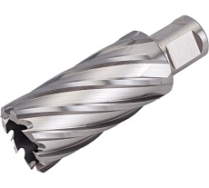 Фреза кольцевая HSS (29x55 мм; Weldon 19) Rotorica RT.4215029