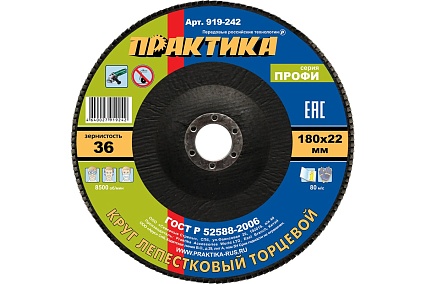 Круг лепестковый шлифовальный (180х22 мм; Р36) Практика 919-242