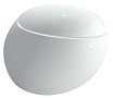 Подвесной унитаз Laufen Alessi 8.2097.6.400.000.1 безободковый, с покр. LLC