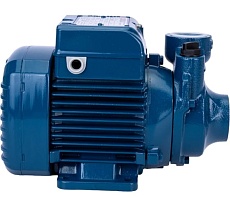 Насос Pedrollo PKm 60 41PNK60A1