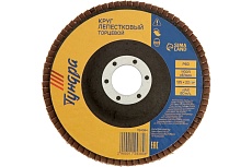 Круг лепестковый торцевой (125х22 мм; Р60) Тундра 1124384
