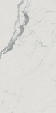 Керамогранит Fap Ceramiche Roma Gold Carrara Superiore Brill 60x120 см, fPZ2