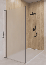 Боковая стенка RGW Z-050-2Gr 70x195 матовое, серый 352205207-210