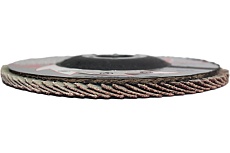 Лепестковые тарельчатые круги FLD-20 D125 мм, P60 R2R 8030-2012560
