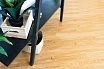 SPC ламинат Alpine Floor Sequoia Royal 1219,2x184,15x3,2 мм, ECO 6-4