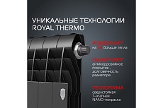 Радиатор Royal Thermo BiLiner 350 /Noir Sable VR - 6 секций НС-1196734