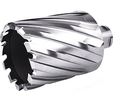 Фреза кольцевая №52 (58х55/88 мм; WELDON19; HSS M2) Профоснастка 40101052