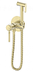 Смеситель Wonzon&Woghand Tor WW-88829073-BG с гигиеническим душем, брашированное золото