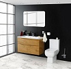 Унитаз-компакт BelBagno Aurora BB8604CPR/SC/BB8604T безободковый с сиденьем