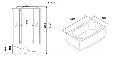 Душевой бокс Niagara NG-5170-01 170x75 стекло тонированное