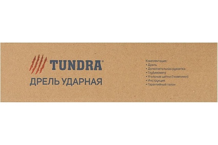 Ударная дрель Тундра патрон ЗВ до 13 мм, 700 Вт, 3000 об/мин, 48000 ударов/мин 5437456