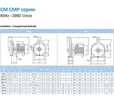 Насос SAER CM 1C 400V 100548165
